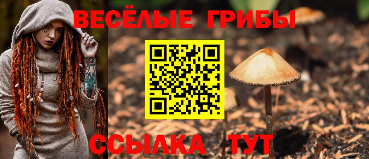 Новоалтайск  Галлюциногенные грибы ЛСД  Вход с VPN  Галлюциногенные грибы Psilocybe 