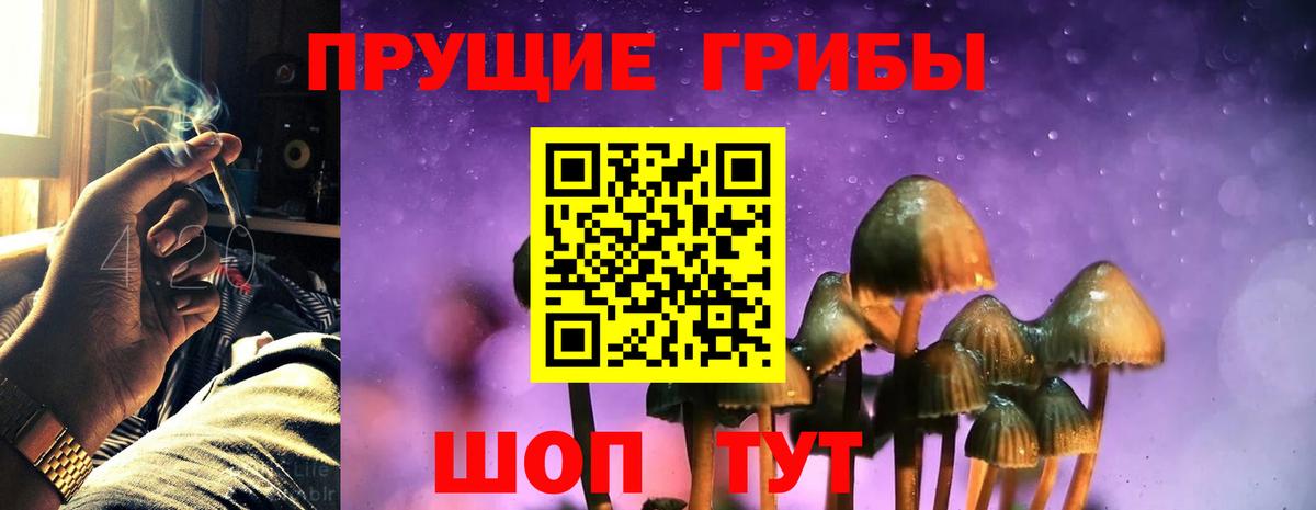 Галлюциногенные грибы мицелий Новоалтайск